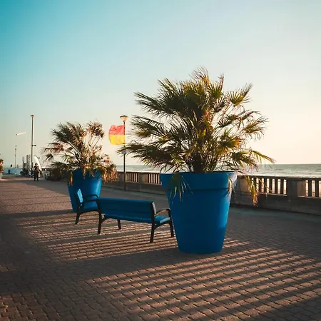 דירה Entre Dunes & Sur La Cote D Opale *